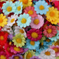 100 Stück 2,5 cm Mini-Gänseblümchen Dekorative Künstliche Blumen