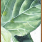 Frendorf | GreenLuxe Moderne Nordische Pflanzenleinwand | Leinwandbild | Wandkunst | Deko für Zuhause