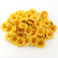 100 Stück 2,5 cm Mini-Gänseblümchen Dekorative Künstliche Blumen