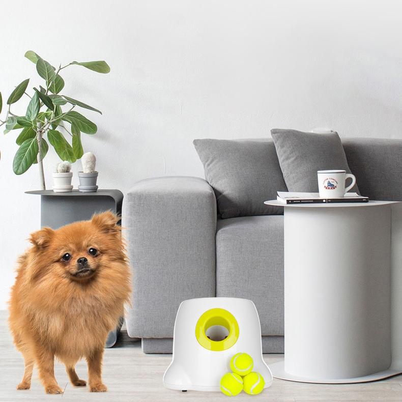 Frendorf | Automatischer Ballwerfer