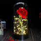 Frendorf | Ewige Rose in Glasdome | Handverlesen, LED-beleuchtet & Ideal für romantische Geschenke und Wohnkultur