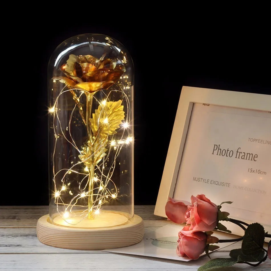 Frendorf | Ewige Rose in Glasdome | Handverlesen, LED-beleuchtet & Ideal für romantische Geschenke und Wohnkultur