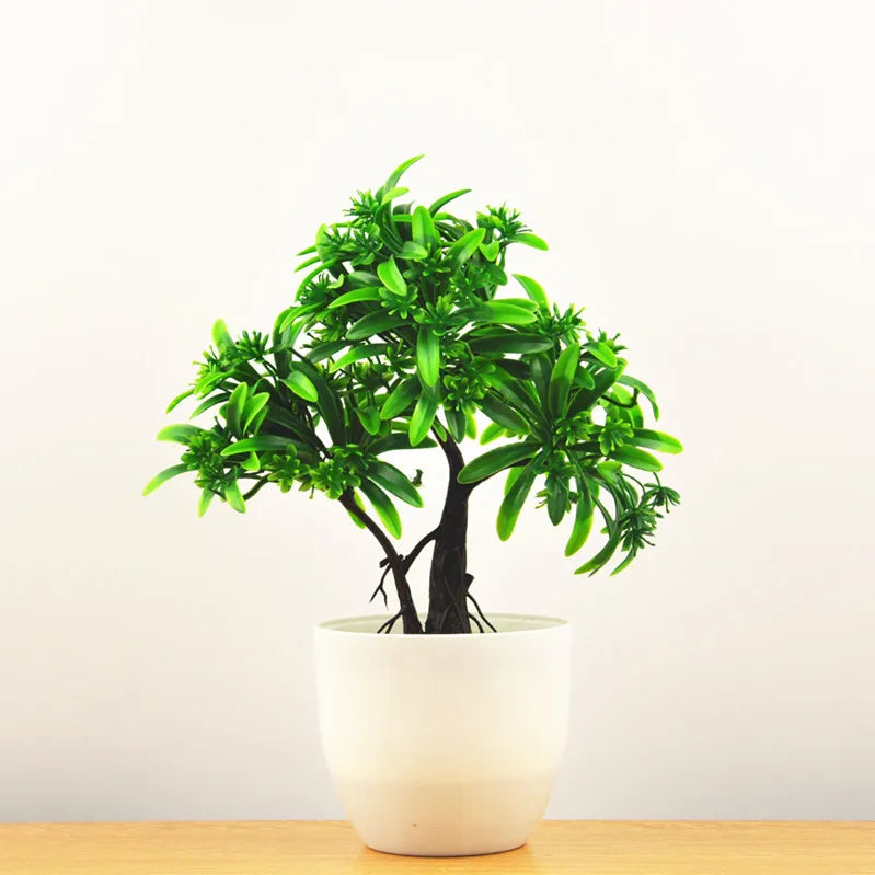 Kleine Baumtopf Bonsai Pflanzen
