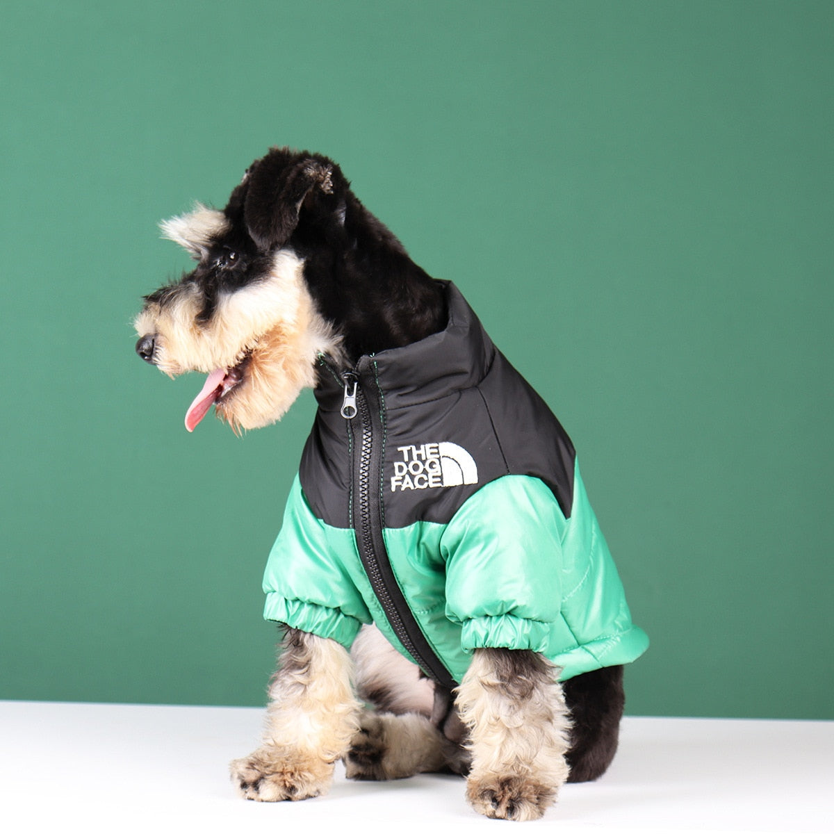 Frendorf | Die Dog Face Jacke - Typ A