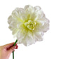 Frendorf | 34 cm Künstliche Dahlienblume Realistischer Fake-Dahlienstrauß für Wohnkultur Hochzeitsarrangements Tischdekorationen und Blumenarrangements Lebenstaugliche Kunst-Dahlie mit weichen Blütenblättern und strapazierfähigen Stielen