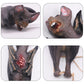 Halloween Blut Requisiten Fake Gruselige Kaputte Fledermaus Hände Füße Ornamente für Spukhaus Halloween Vampir Party Dekorationen