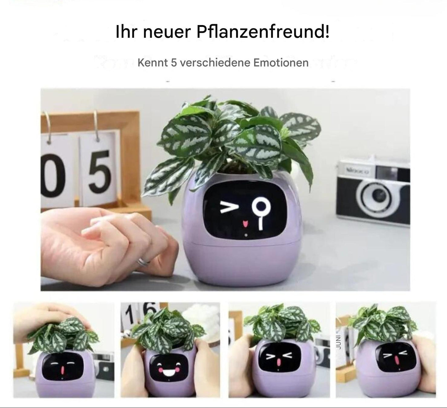 Frendorf | Automatischer Smart-Blumentopf – GreenBuddy SmartPot
