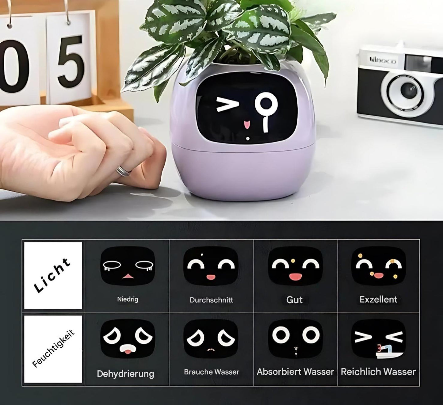 Frendorf | Automatischer Smart-Blumentopf – GreenBuddy SmartPot