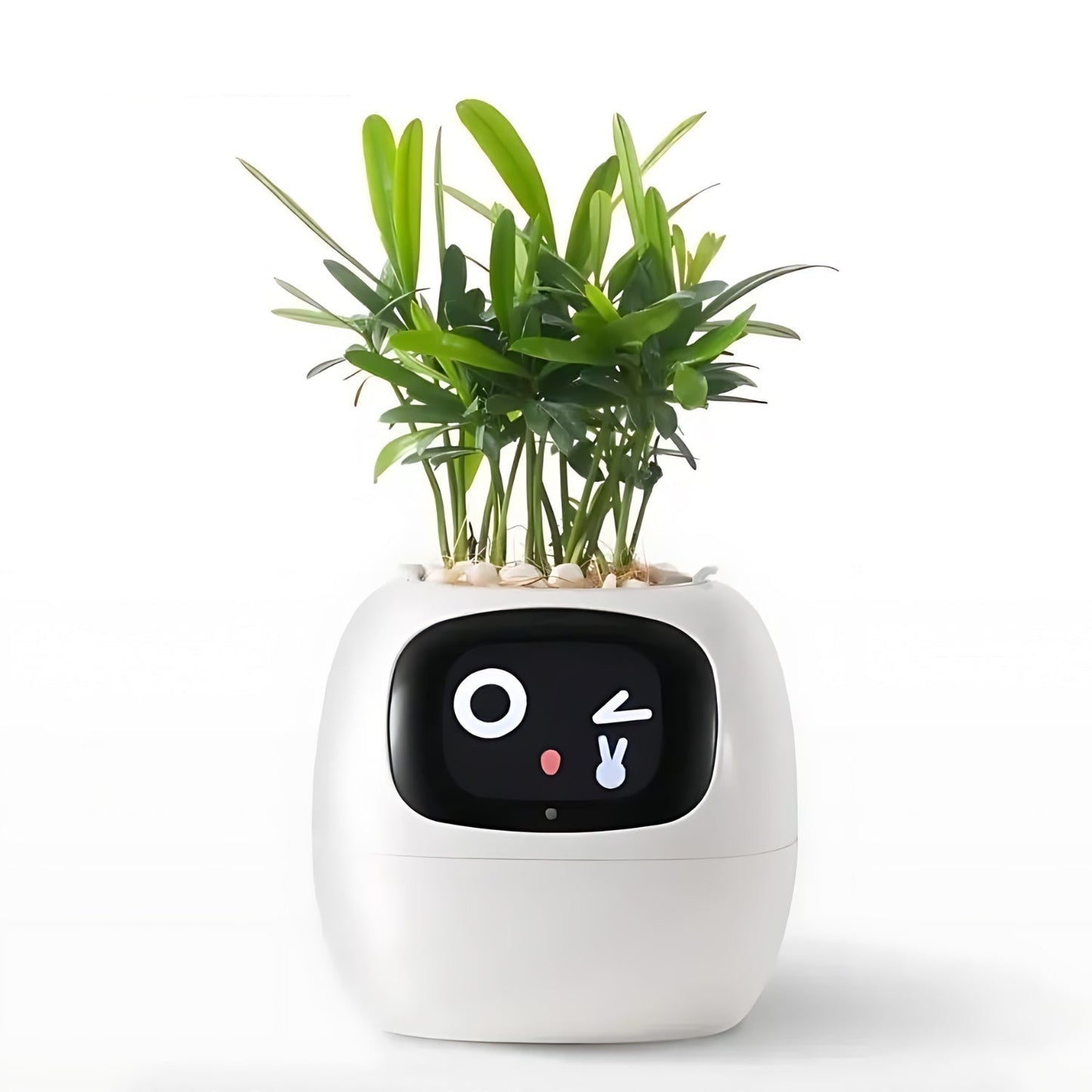 Frendorf | Automatischer Smart-Blumentopf – GreenBuddy SmartPot