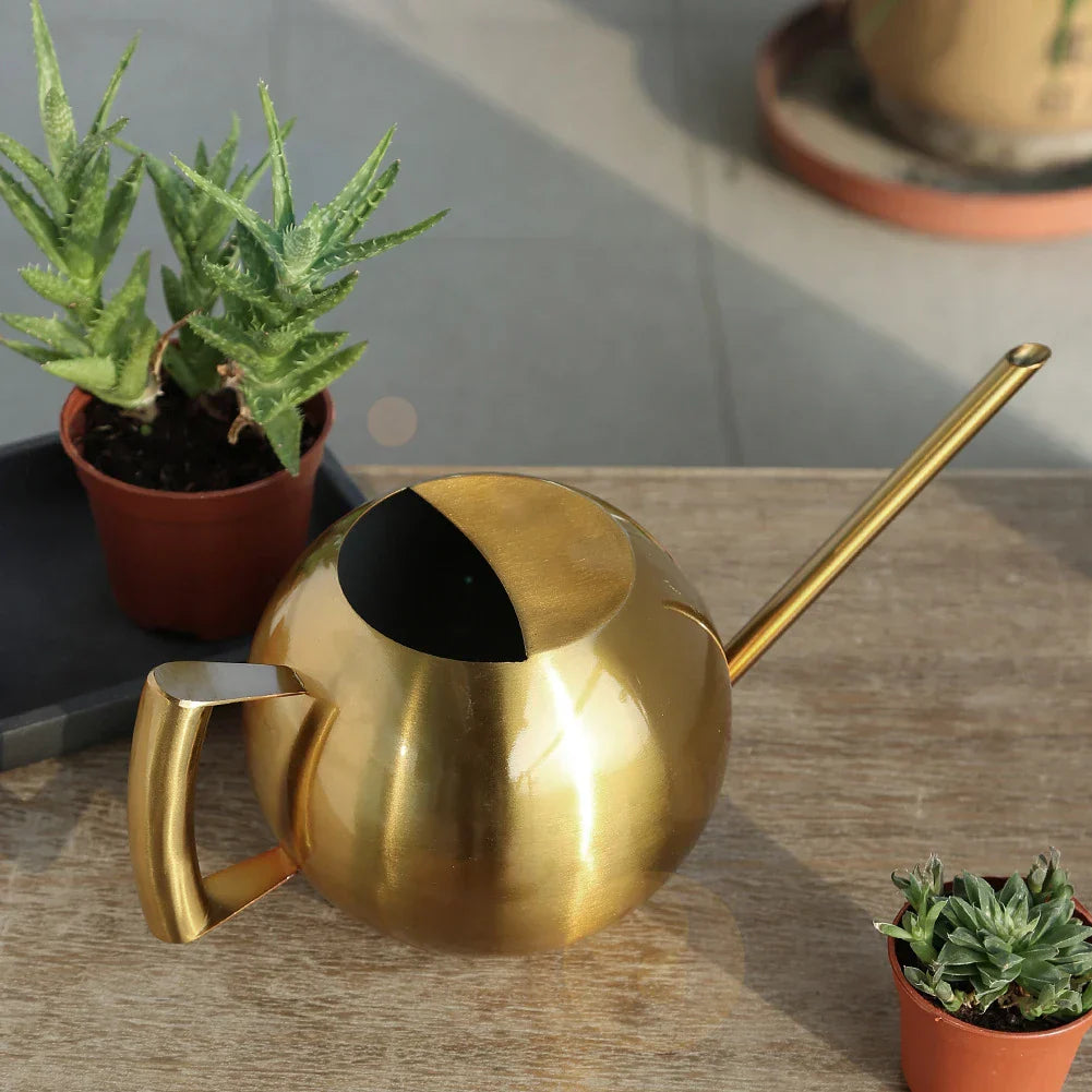 Frendorf | PlantFlow Minimalist Gießkanne | Modernes Design | Perfekt für Zimmerpflanzen