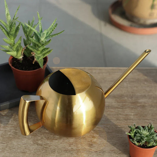Frendorf | PlantFlow Minimalist Gießkanne | Modernes Design | Perfekt für Zimmerpflanzen