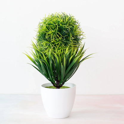 Kleine Baumtopf Bonsai Pflanzen