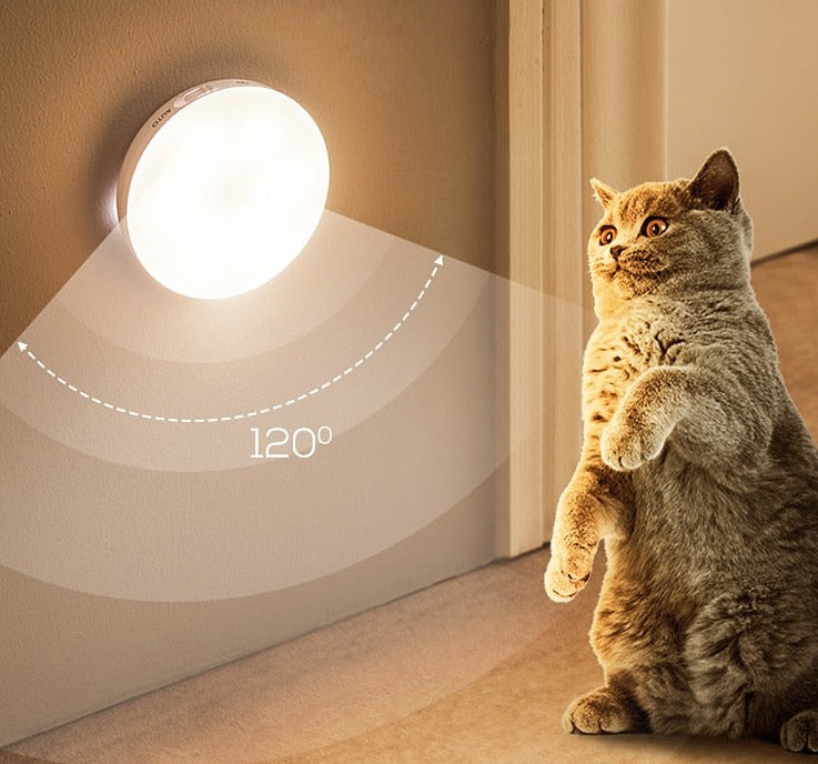 Frendorf | Bewegungsmelder-Lampe