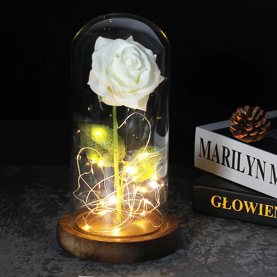 Frendorf | Ewige Rose in Glasdome | Handverlesen, LED-beleuchtet & Ideal für romantische Geschenke und Wohnkultur