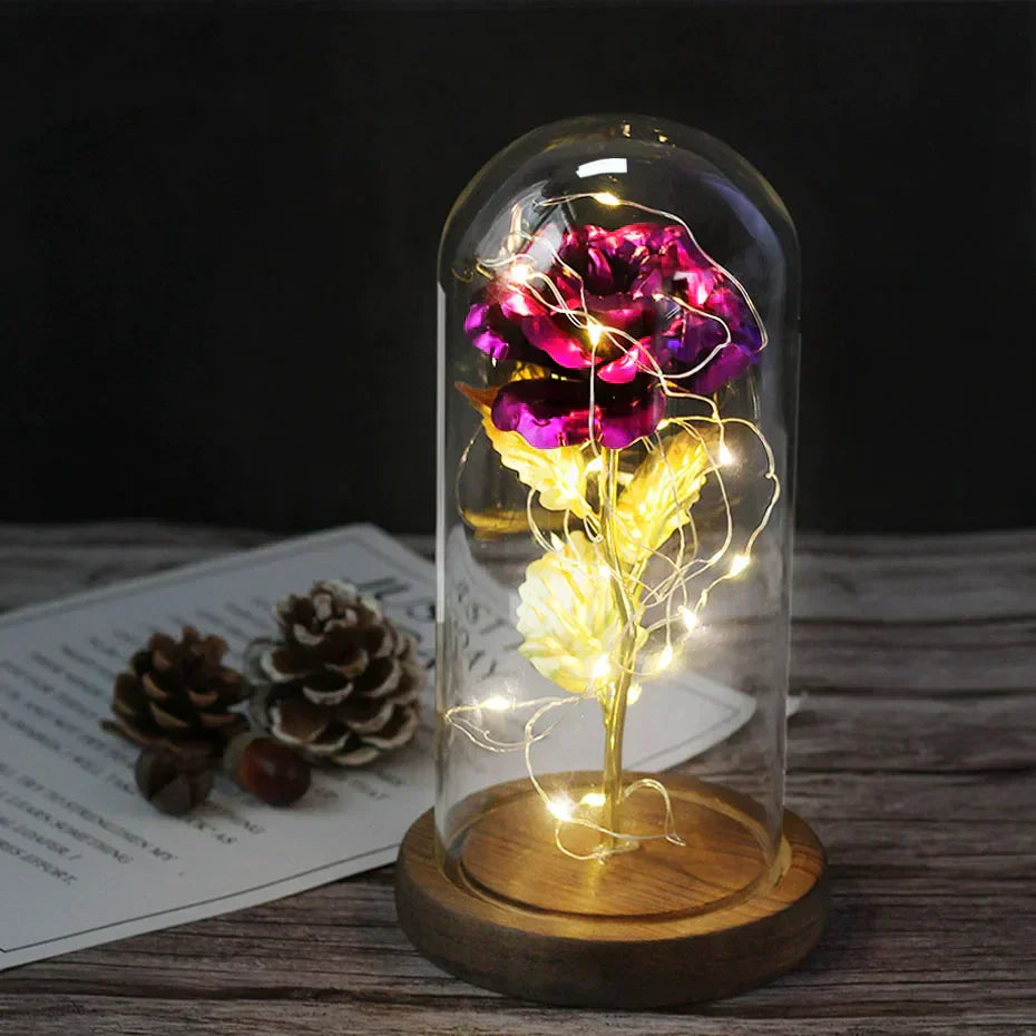 Frendorf | Ewige Rose in Glasdome | Handverlesen, LED-beleuchtet & Ideal für romantische Geschenke und Wohnkultur