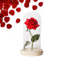 Frendorf | Ewige Rose in Glasdome | Handverlesen, LED-beleuchtet & Ideal für romantische Geschenke und Wohnkultur