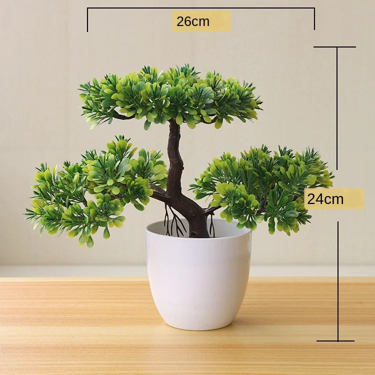 Kleine Baumtopf Bonsai Pflanzen
