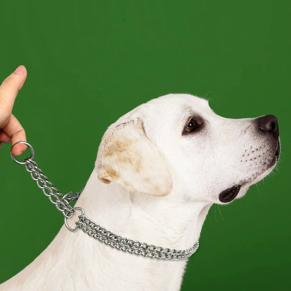 Frendorf |  Edelstahl Hundetraining-Halskette