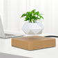 EnchantedBloom™ Schwebender Luft-Bonsai-Topf