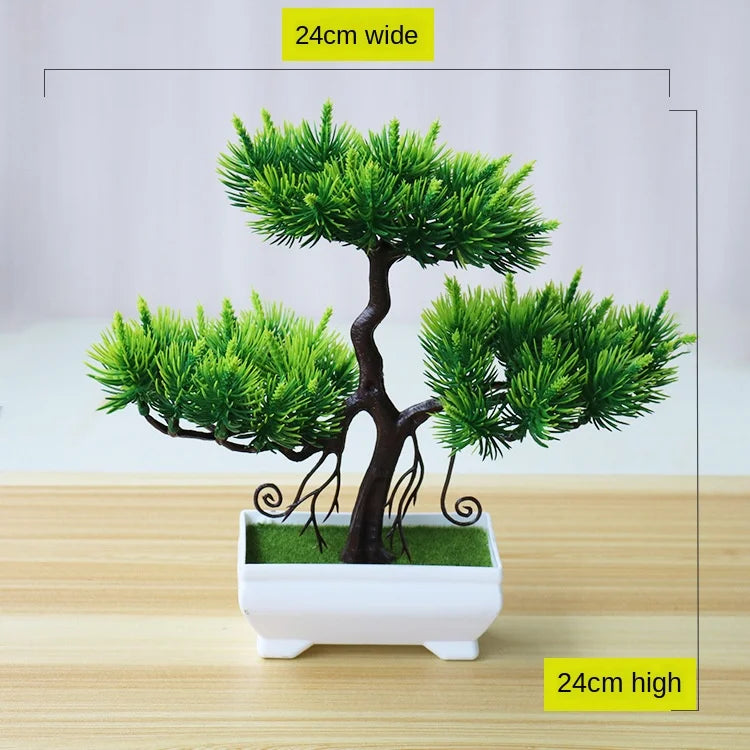 Kleine Baumtopf Bonsai Pflanzen