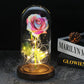 Frendorf | Ewige Rose in Glasdome | Handverlesen, LED-beleuchtet & Ideal für romantische Geschenke und Wohnkultur