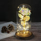 Frendorf | Ewige Rose in Glasdome | Handverlesen, LED-beleuchtet & Ideal für romantische Geschenke und Wohnkultur
