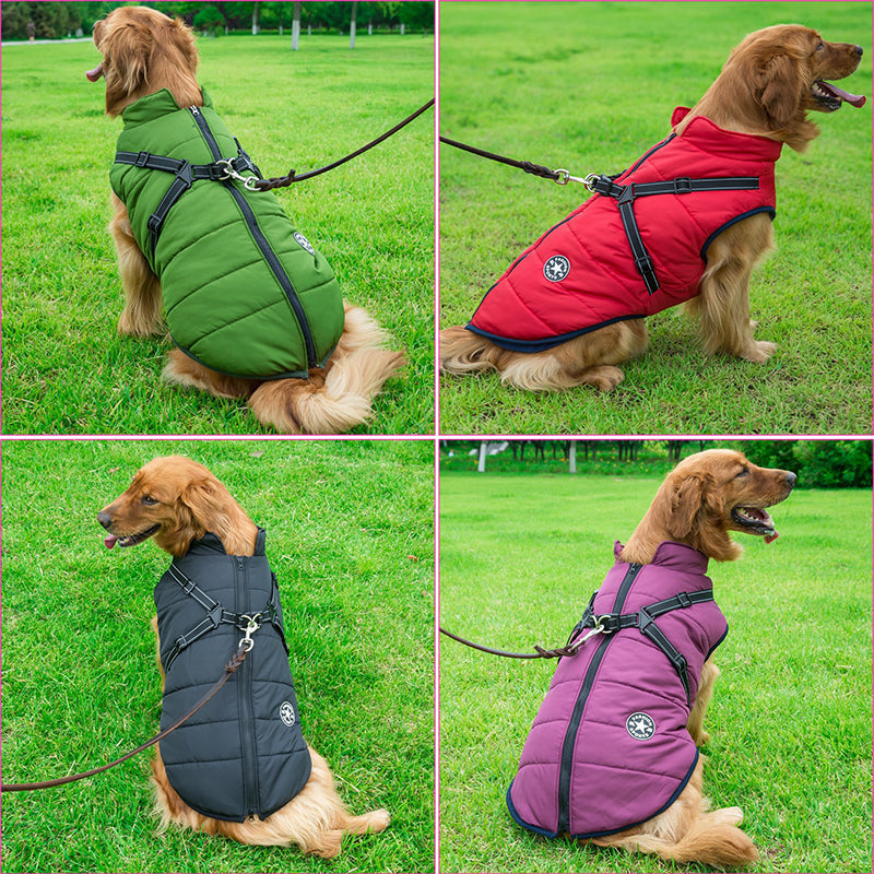 Frendorf | DoggyKönig 3 in 1 Jacket