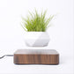 EnchantedBloom™ Schwebender Luft-Bonsai-Topf