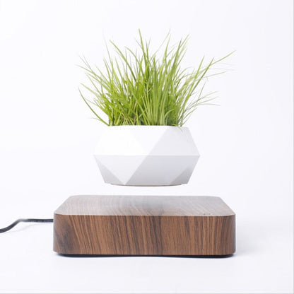 EnchantedBloom™ Schwebender Luft-Bonsai-Topf