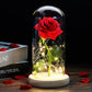 Frendorf | Ewige Rose in Glasdome | Handverlesen, LED-beleuchtet & Ideal für romantische Geschenke und Wohnkultur