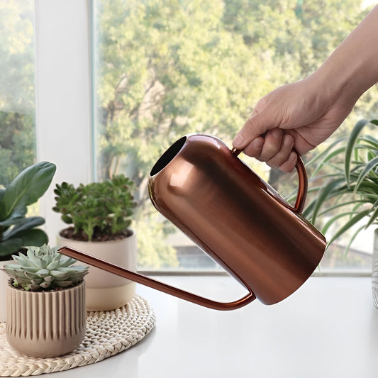 Edelstahl-Ausgießer - 1,5L lange Gießkanne für Pflanzen und Blumen