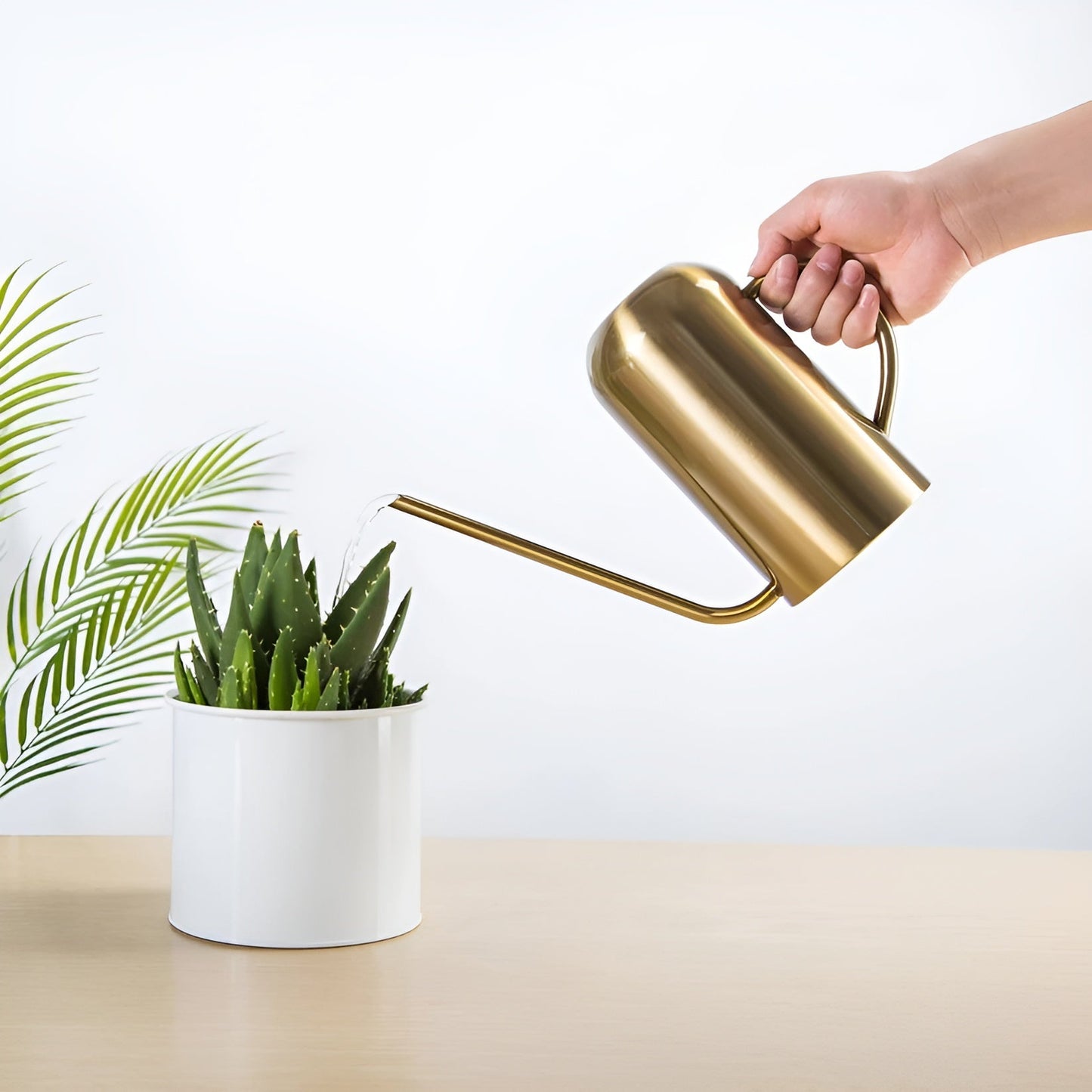 Edelstahl-Ausgießer - 1,5L lange Gießkanne für Pflanzen und Blumen