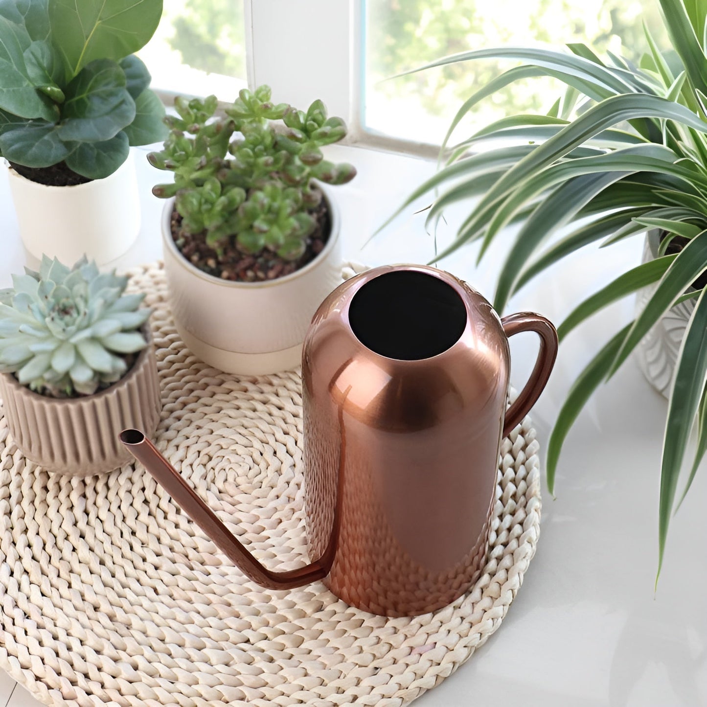 Edelstahl-Ausgießer - 1,5L lange Gießkanne für Pflanzen und Blumen