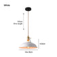 Frendorf | BarnFlare Deckenleuchten- Bunte industrielle LED Macaron Hängelampe
