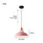 Frendorf | BarnFlare Deckenleuchten- Bunte industrielle LED Macaron Hängelampe