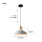 Frendorf | BarnFlare Deckenleuchten- Bunte industrielle LED Macaron Hängelampe