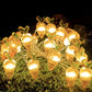 Frendorf | TwinkleNest LED Lichterkette