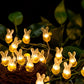 Frendorf | TwinkleNest LED Lichterkette