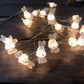 Frendorf | TwinkleNest LED Lichterkette