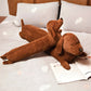 PawCuddle Ergonomisches Dackelkissen | Bequemes Kissen für Sofa und Kinder
