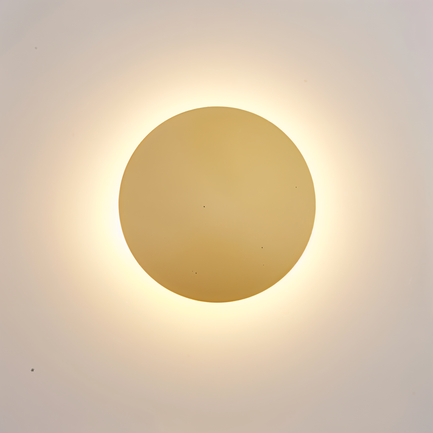 Frendorf | FullHalo Wandleuchte - Runde Schwarz/Weiß/Gold Metall LED Wandlampe - Modernes Wandlampen Design