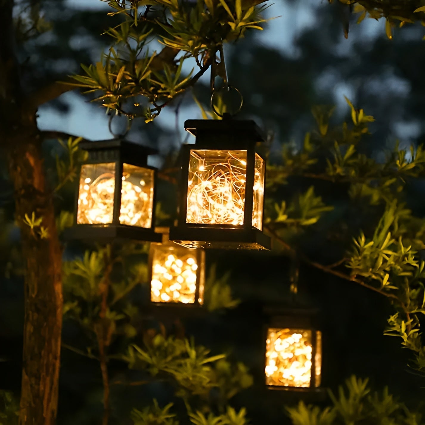Magic Lantern - Solar-powered bulbs with dual panel control