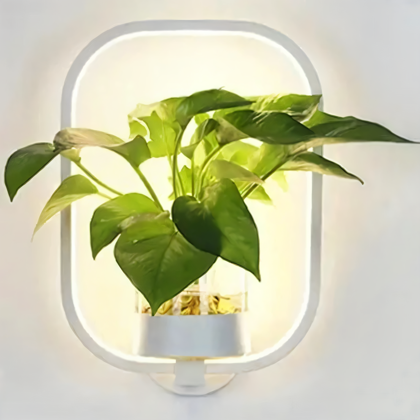 Frendorf | VerdantLume Wandleuchte - Minimalistische Wandleuchte mit Integrierter Pflanzenhalterung - Moderne Wandleuchten Geführt