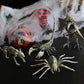 Horror-Spinne Skorpion Krähe Maus Skelett Knochen Fröhliche Halloween Party Dekoration Requisiten Gruselige Tiere Angst einflößende Ornamente