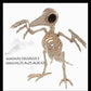 Hot Skeleton Tier 100% Plastik Tier Skelett Knochen Horror Halloween Weihnachten Requisite Tier Krähe Skelett Dekoration Neujahr