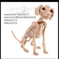 Hot Skeleton Tier 100% Plastik Tier Skelett Knochen Horror Halloween Weihnachten Requisite Tier Krähe Skelett Dekoration Neujahr