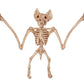 Hot Skeleton Tier 100% Plastik Tier Skelett Knochen Horror Halloween Weihnachten Requisite Tier Krähe Skelett Dekoration Neujahr