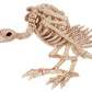Hot Skeleton Tier 100% Plastik Tier Skelett Knochen Horror Halloween Weihnachten Requisite Tier Krähe Skelett Dekoration Neujahr