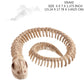 Hot Skeleton Tier 100% Plastik Tier Skelett Knochen Horror Halloween Weihnachten Requisite Tier Krähe Skelett Dekoration Neujahr