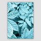 Bramble Leaves Makrofoto in Teal-Druck